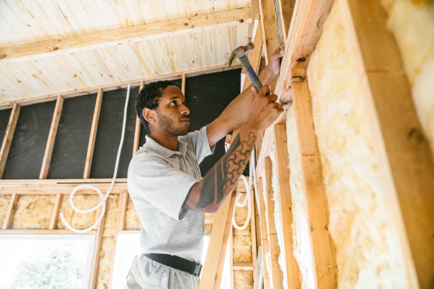 Best Attic Insulation Installation  in Cannon Af, NM