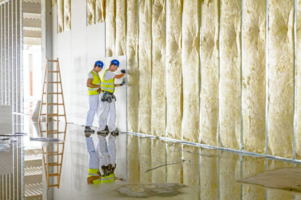 Best Insulation Repair Services  in Cannon Af, NM
